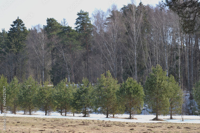 image to crop
