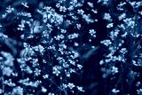 preview cold