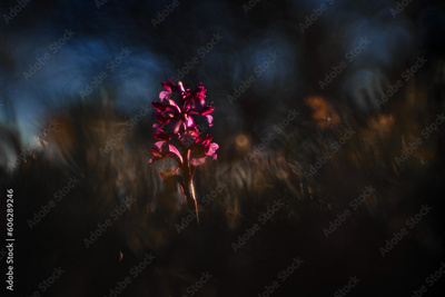 image to crop