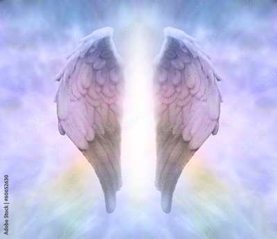 image to crop