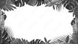 preview bw
