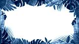 preview cold
