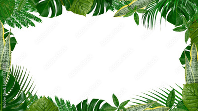 image to crop