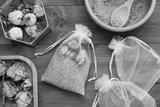 preview bw