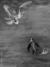 preview bw