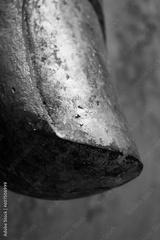 preview bw