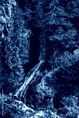 preview cold