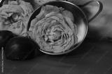 preview bw