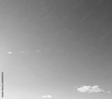 preview bw