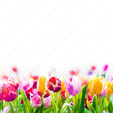 preview original