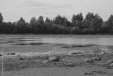 preview bw