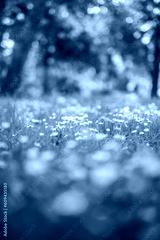 preview cold