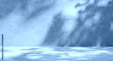 preview cold