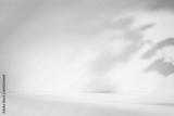 preview bw