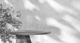preview bw