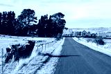 preview cold