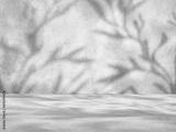 preview bw