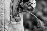 preview bw