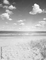 preview bw