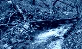 preview cold