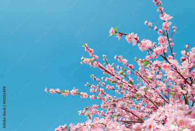 image to crop