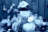 preview cold