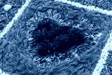 preview cold