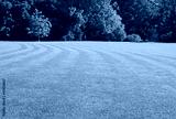 preview cold