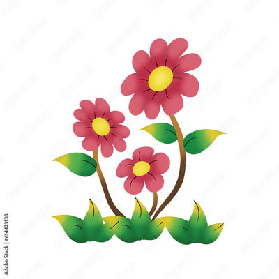 image to crop