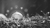 preview bw