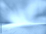 preview cold