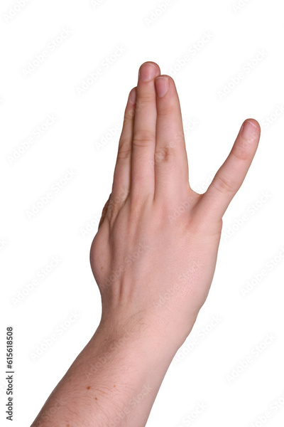 image to crop