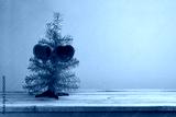preview cold