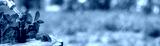 preview cold