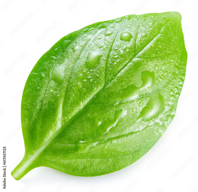 image to crop
