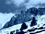 preview cold