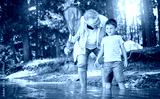 preview cold