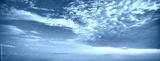 preview cold