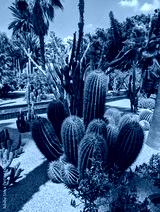 preview cold