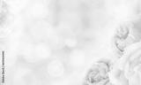preview bw