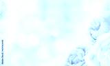 preview cold