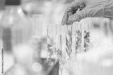 preview bw