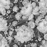 preview bw