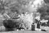 preview bw