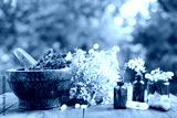 preview cold