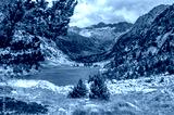 preview cold