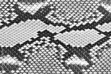 preview bw