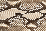preview original