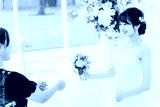 preview cold