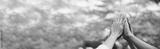 preview bw